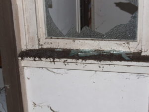bat's droppings on a broken window