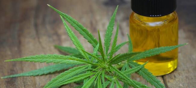cannabidiol